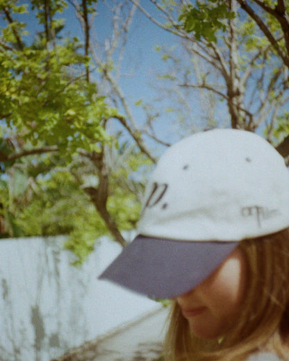 001 SERIES 6 Panel - Blue & Off-white